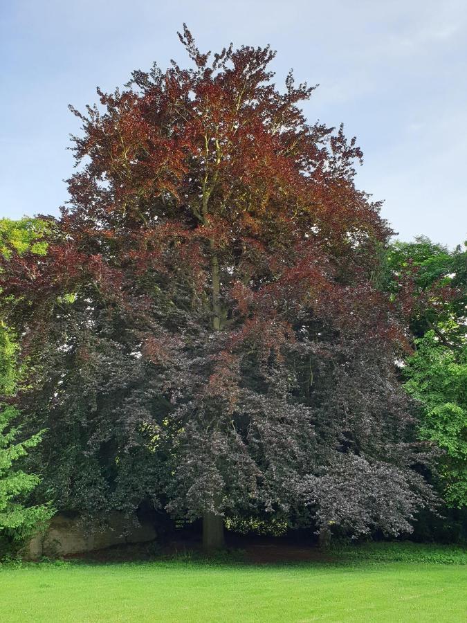 Copperbeech B&B Yoxford Zewnętrze zdjęcie